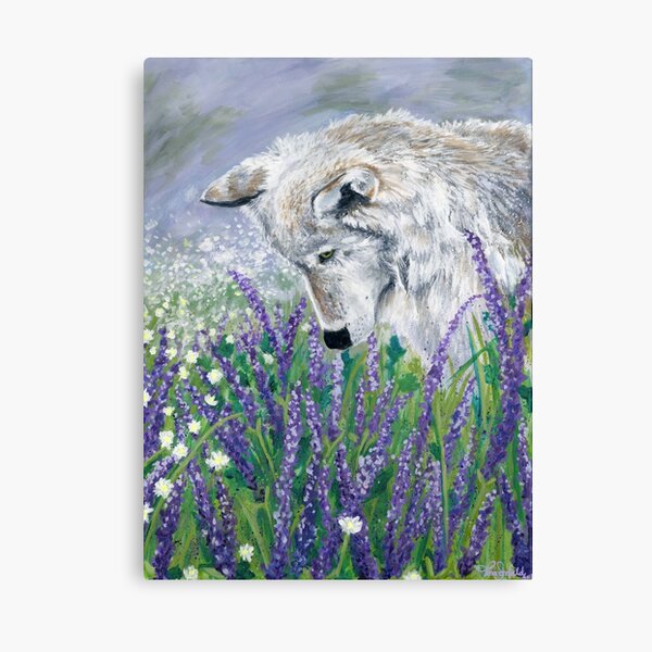 Lavender Wolf Canvas Print