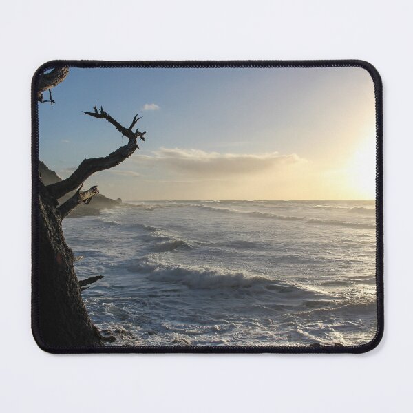 Item preview, Tree Frames the Sea designed and sold by Micki Selvitella.
