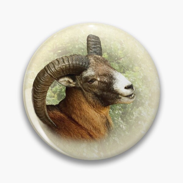 Item preview, Mouflon designed and sold by Guardi71.