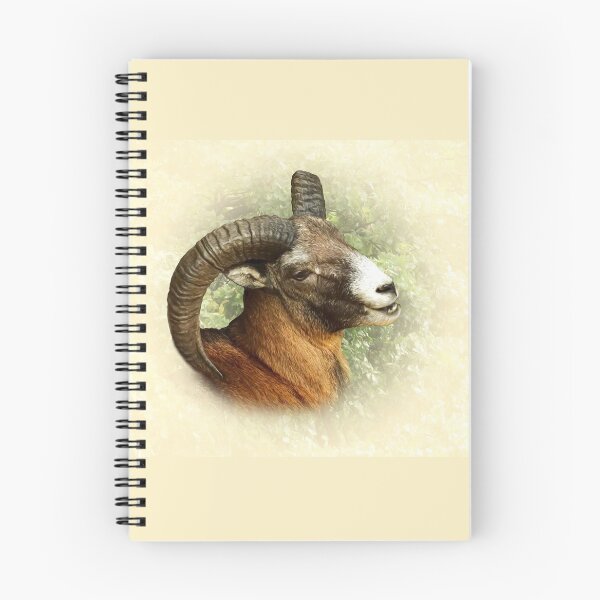 Item preview, Mouflon designed and sold by Guardi71.
