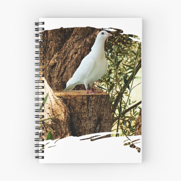Item preview, full body of speed racing white pigeon bird with banding leg ring through olives tree designed and sold by sigoisette.