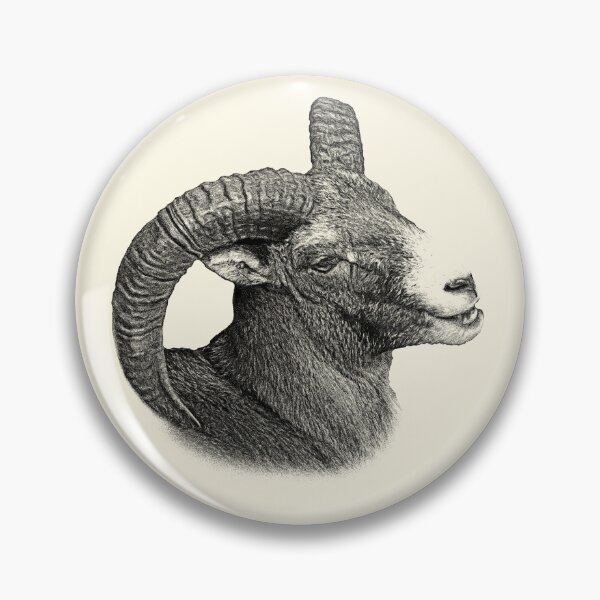 Item preview, Mouflon designed and sold by Guardi71.