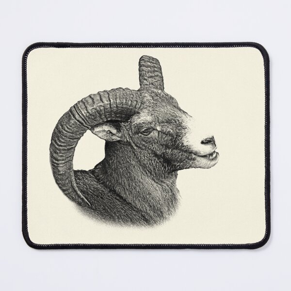 Item preview, Mouflon designed and sold by Guardi71.