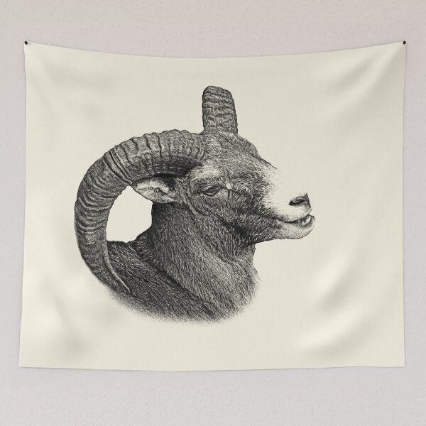 Item preview, Mouflon designed and sold by Guardi71.