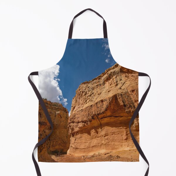 Item preview, Along the Gorge, Capitol Reef National Park designed and sold by Brian Shaw.