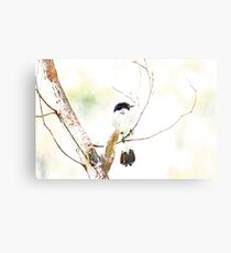 Bird Camouflaged By An Overcast Sky Canvas Print