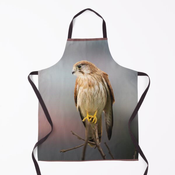 Item preview, Nankeen Kestrel contemplations - bird designed and sold by Tara Smithson.