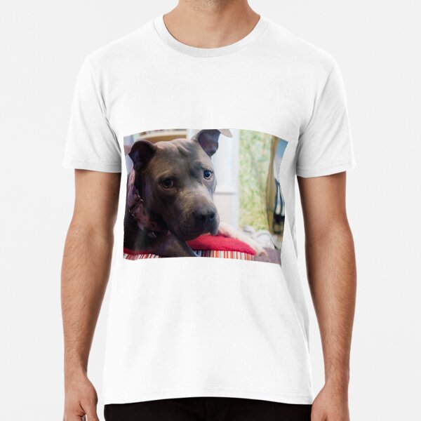 "Puppy Dog Eyes" Tshirt for Sale by BurntGingersnap Redbubble