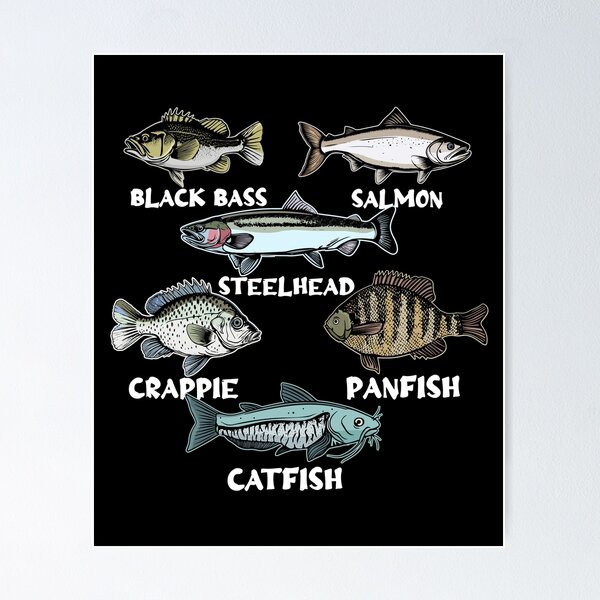 Lake Fork Fish Species