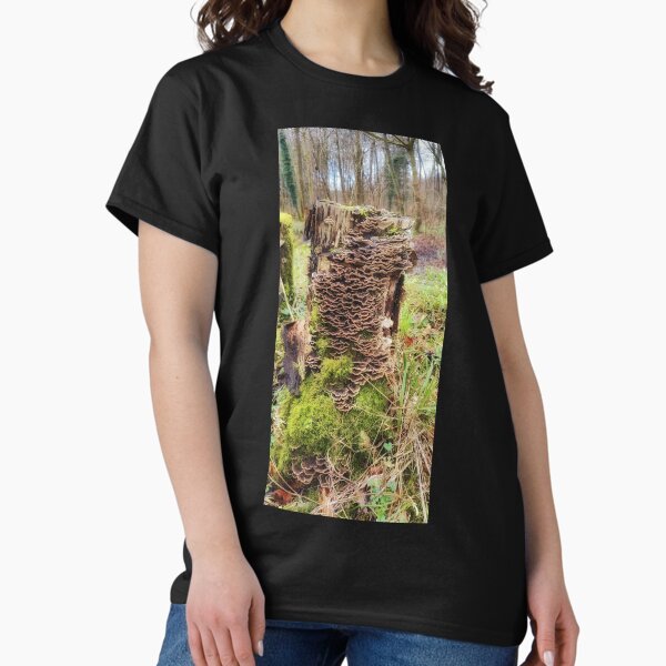 Item preview, Faery Hotel designed and sold by HrafnMusic.