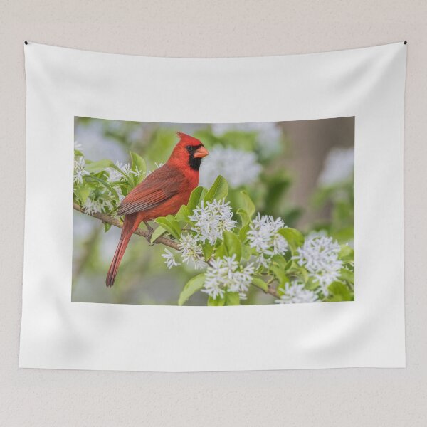 Item preview, Male Northern Cardinal in Chinese Fringe Tree designed and sold by Bonnie T.  Barry.