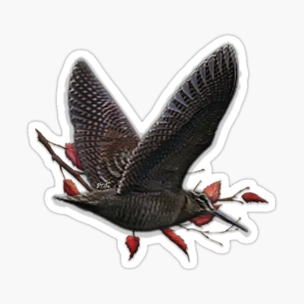 Item preview, Woodcock Art  designed and sold by TammyHunterArt.