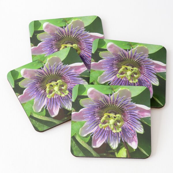 Item preview, Blue Passion flower designed and sold by SpookyCatHouse.