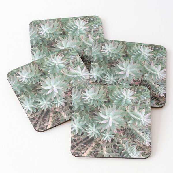 Item preview, Green Myrtle Spurge designed and sold by SpookyCatHouse.