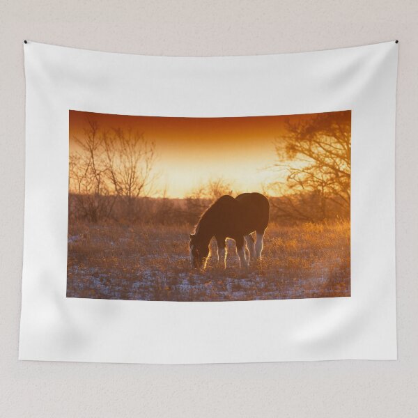 Item preview, Clydesdale Horse at Sunset designed and sold by James Cumming.