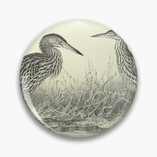 Item preview, Ardetta Maculata (New Zealand bittern) designed and sold by PrintEmporium1.