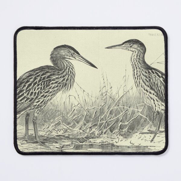 Item preview, Ardetta Maculata (New Zealand bittern) designed and sold by PrintEmporium1.