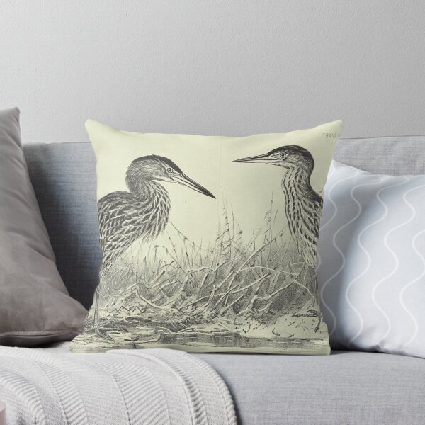 Item preview, Ardetta Maculata (New Zealand bittern) designed and sold by PrintEmporium1.