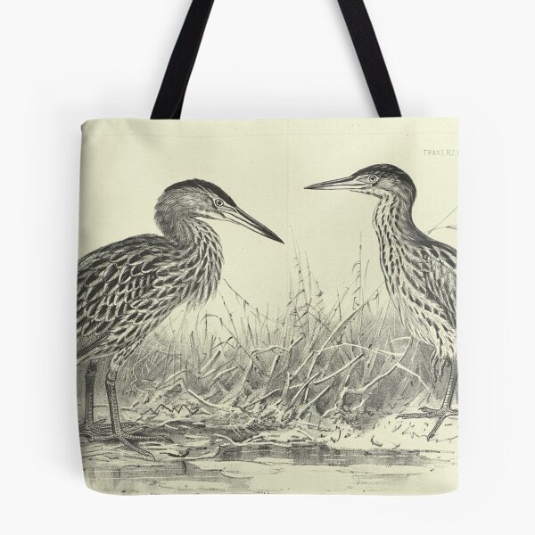 Item preview, Ardetta Maculata (New Zealand bittern) designed and sold by PrintEmporium1.