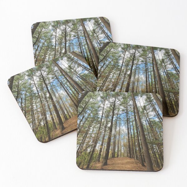 Item preview, Homestead Parklands County Park designed and sold by Southern Minnesota Guy.