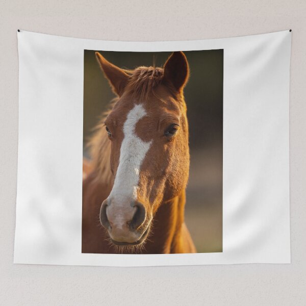 Item preview, Majestic Brown Horse designed and sold by newburyboutique.