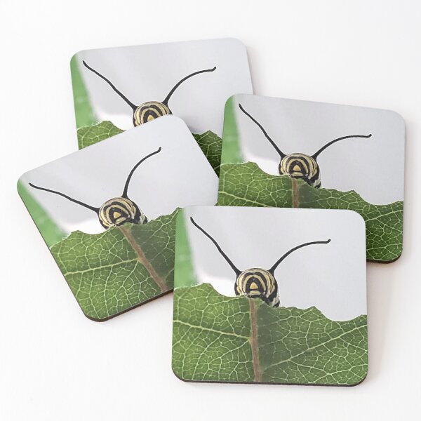 Item preview, Monarch Caterpillar Munching on Leaf designed and sold by Ray6Designs.