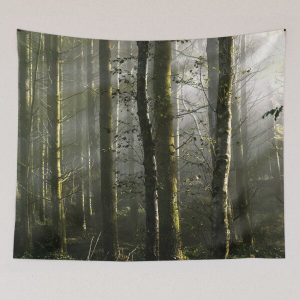 Item preview, Stourhead Estate Pine Forests designed and sold by JonDelorme.