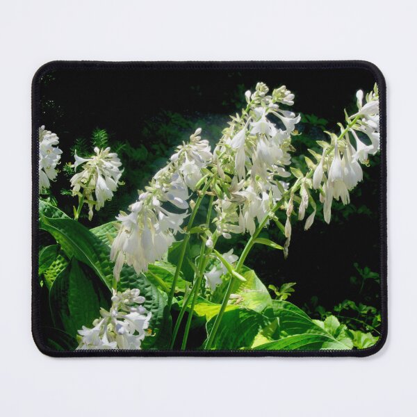 Item preview, Hosta Flowers designed and sold by Shulie1.