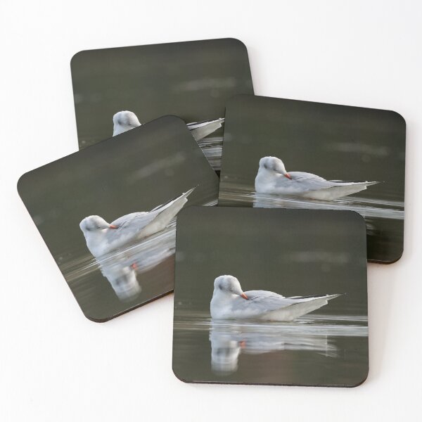 Item preview, Black-headed Gull designed and sold by ClarkeGreening.