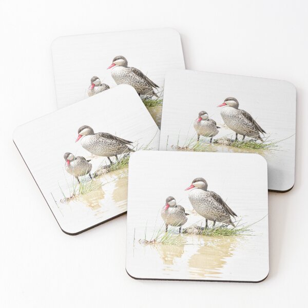 Item preview, Tranquil shot of Red-Billed Teal in Kenya designed and sold by FormigaArt.