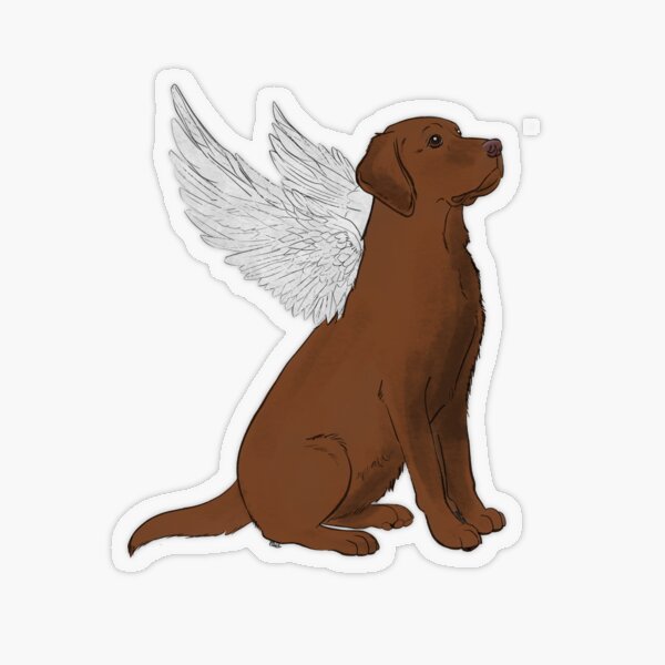 Chocolate best sale lab memorial