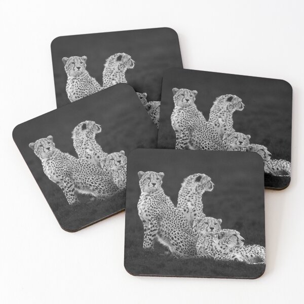 Item preview, The four brothers. Four male Cheetahs in Masai Mara, Kenya designed and sold by FormigaArt.