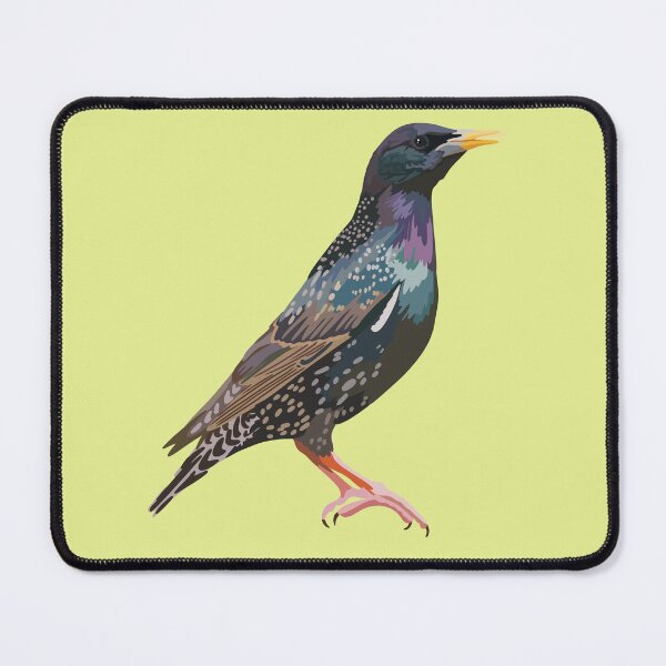 Item preview, S is for Starling ,Starling – Vibrant and Social Songbird Wildlife Illustration designed and sold by PrettylittlepastelUk.