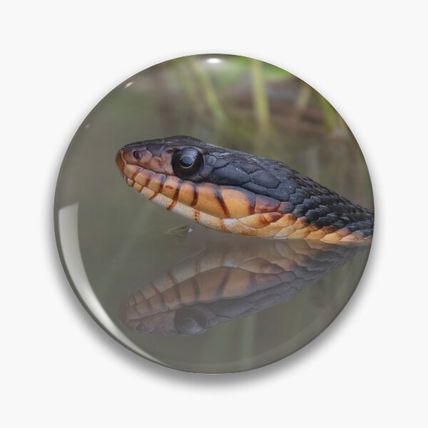 Item preview, Snake Reflection designed and sold by tracyam.