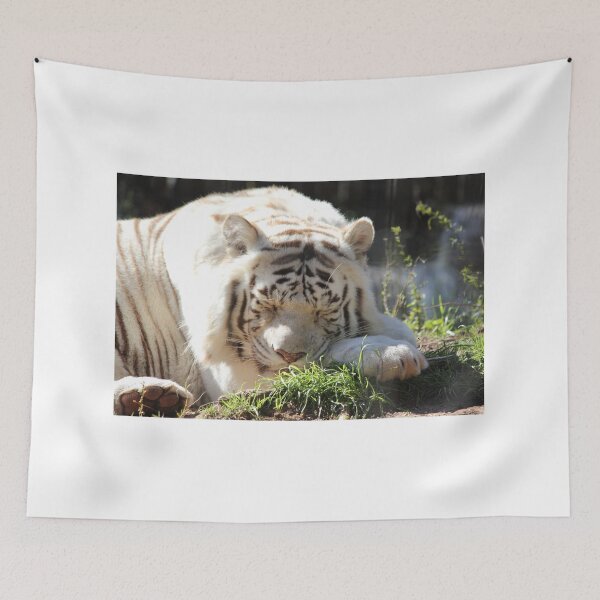 Item preview, White Bengal Tiger - Sleep designed and sold by Mdillon.