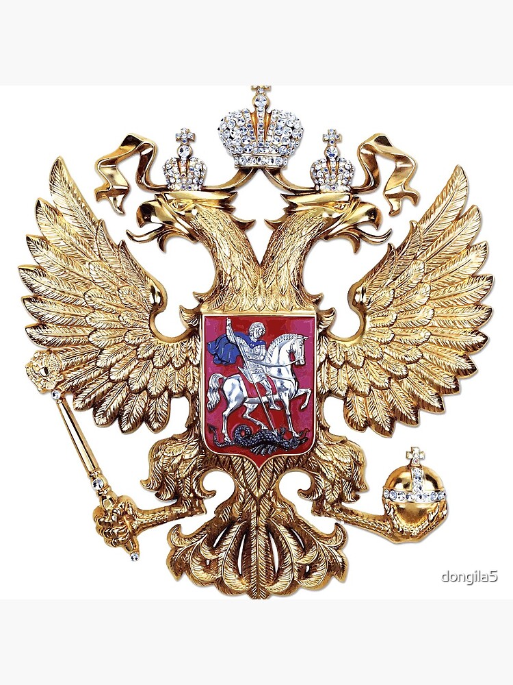 eagle by dongila5
