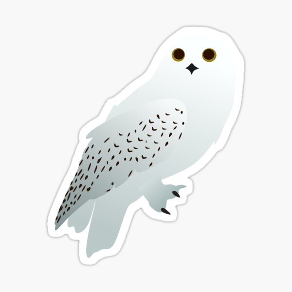 Harry Potter Owly Potter Sticker - Pro Sport Stickers