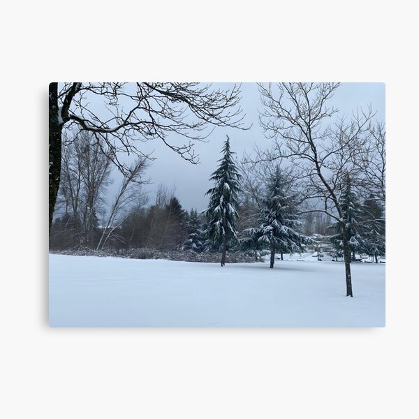 Item preview, Park in the snow designed and sold by EricT00.