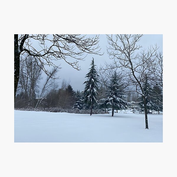 Item preview, Park in the snow designed and sold by EricT00.