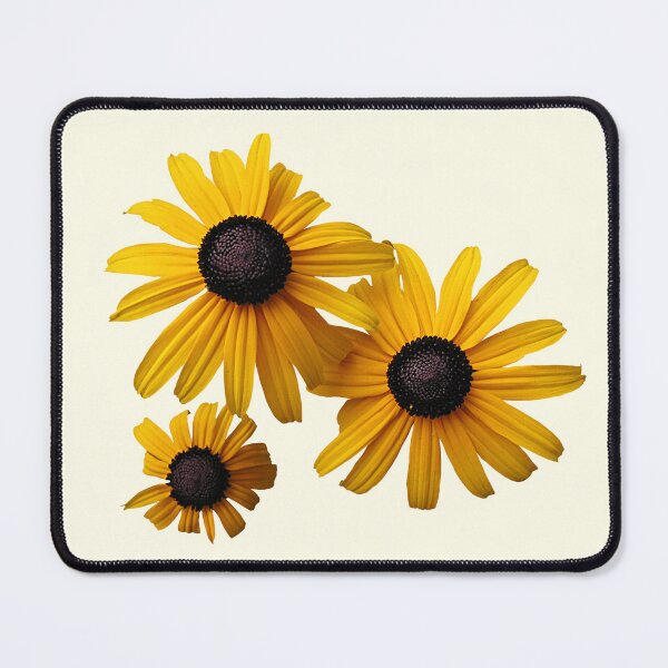 Item preview, Three Blackeye Susans designed and sold by Susan Savad.