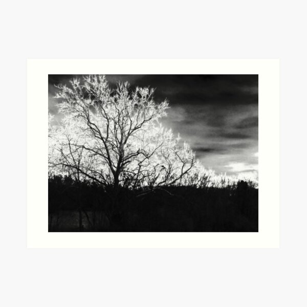 The Trees Art Print