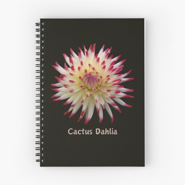 Item preview, Dalia Flower: Cactus Dahlia designed and sold by AnnDart.