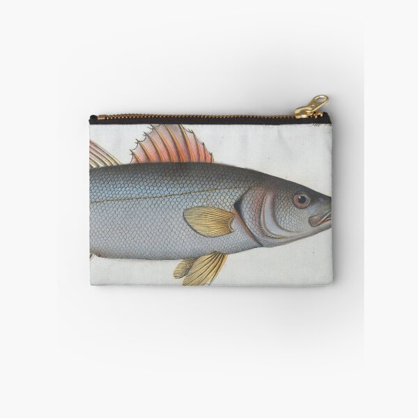Item preview, Vintage Illustration of a Umber Fish (1785) designed and sold by BravuraMedia.
