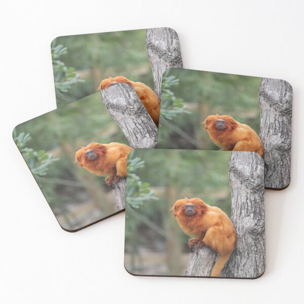Item preview, Golden Lion Tamarin designed and sold by Mdillon.