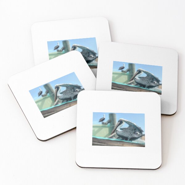 Item preview, Graphic of Florida Pelican designed and sold by GHmom.