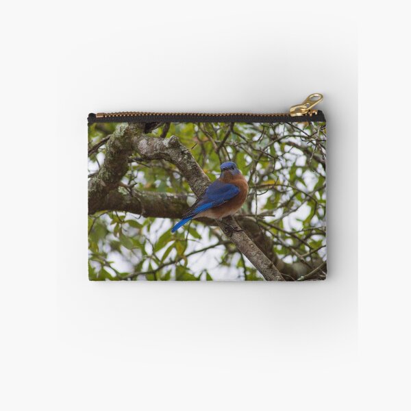 Aperçu de l'œuvre Bluebird Eastern créée et vendue par KensLensDesigns.