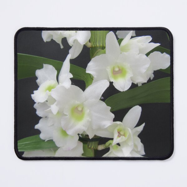 Item preview, Spring Orchid designed and sold by lezvee.