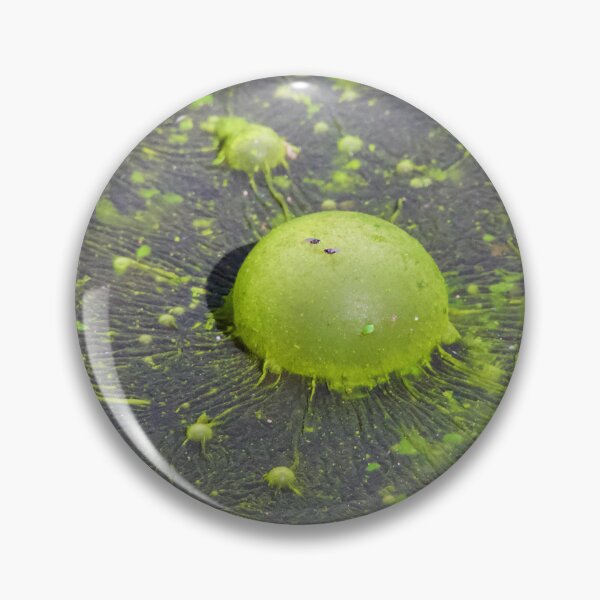Item preview, Nature own Green, Green algae designed and sold by Mark Grimsley.