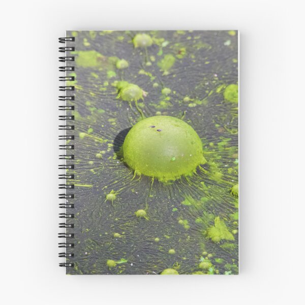 Item preview, Nature own Green, Green algae designed and sold by Mark Grimsley.