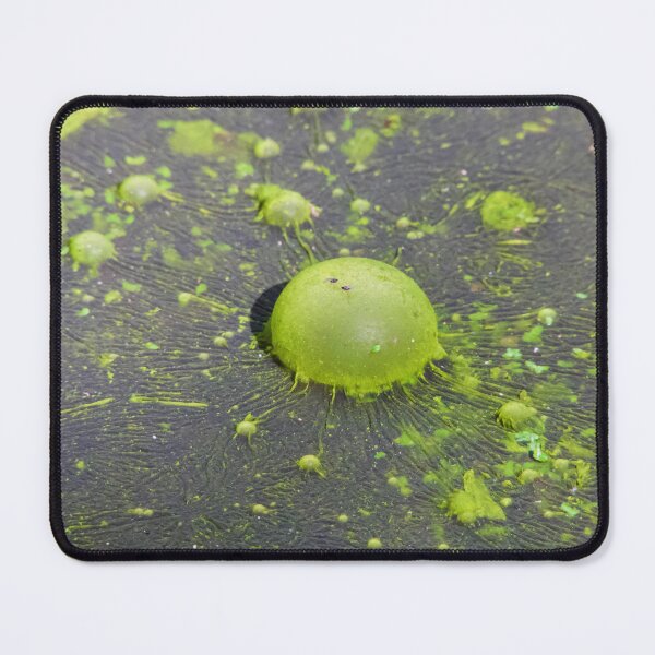 Item preview, Nature own Green, Green algae designed and sold by Mark Grimsley.